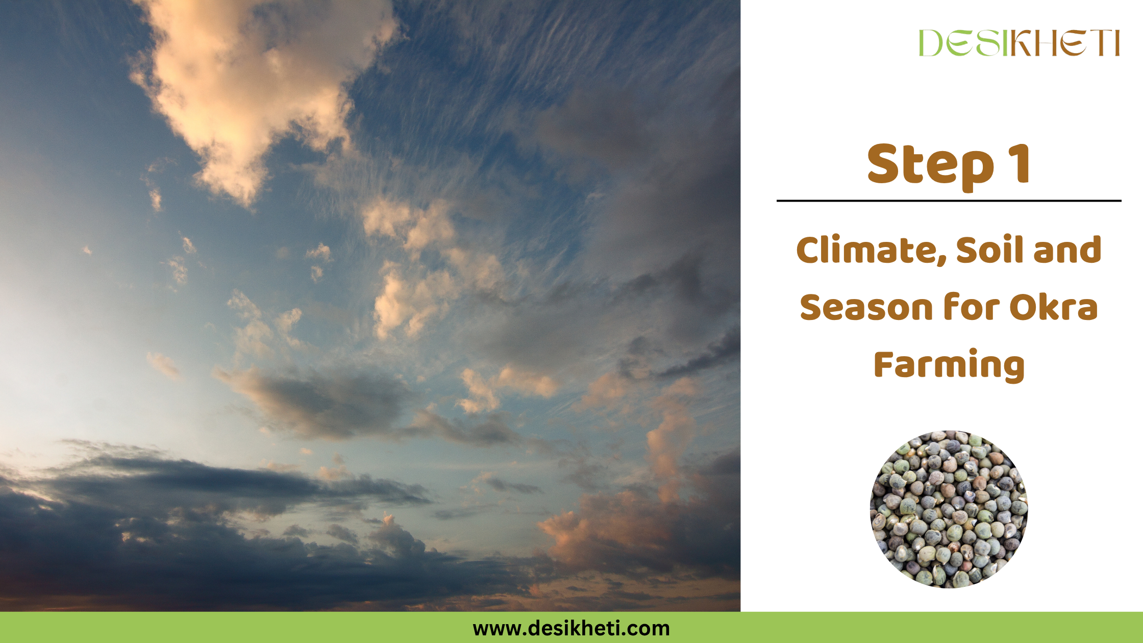 Step 1: Climate, Soil and Season for Okra Farming Step 1: Climate, Soil and Season for Okra Farming. A sky with dramatic clouds is shown. The "DESIKHETI" logo is visible at the top right, along with a circular inset displaying okra seeds, and the website address "www.desikheti.com".