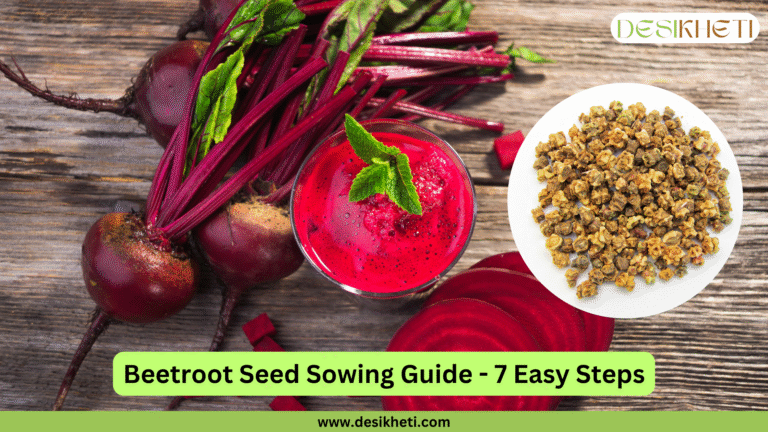 Beetroot Seed Sowing Guide - 7 Easy Steps. A wooden surface holds fresh beetroots with green and reddish leaves, and a glass of bright pink beetroot juice garnished with mint. A white circular inset contains a pile of brown, irregular beetroot seeds. The "DESIKHETI" logo is visible at the top right, and the website address "www.desikheti.com" is at the bottom.