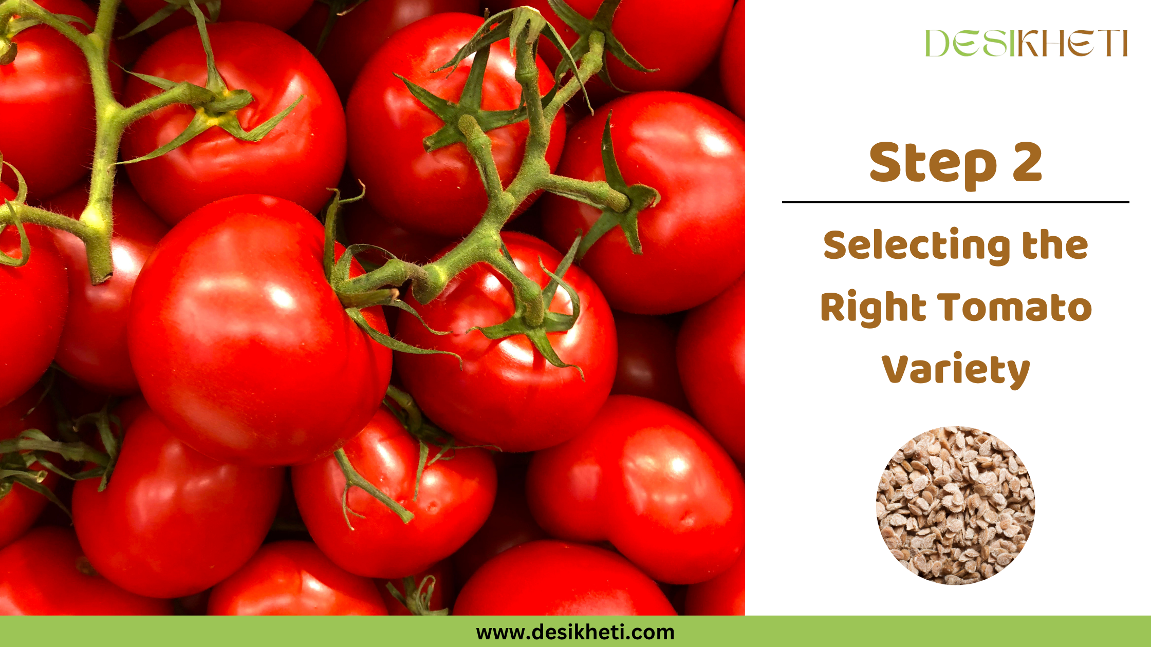 
Step 2: Selecting the Right Tomato Variety. A vibrant pile of fresh, red tomatoes with some green vines is shown. The "DESIKHETI" logo is visible at the top right, along with a circular inset displaying tomato seeds, and the website address "www.desikheti.com".