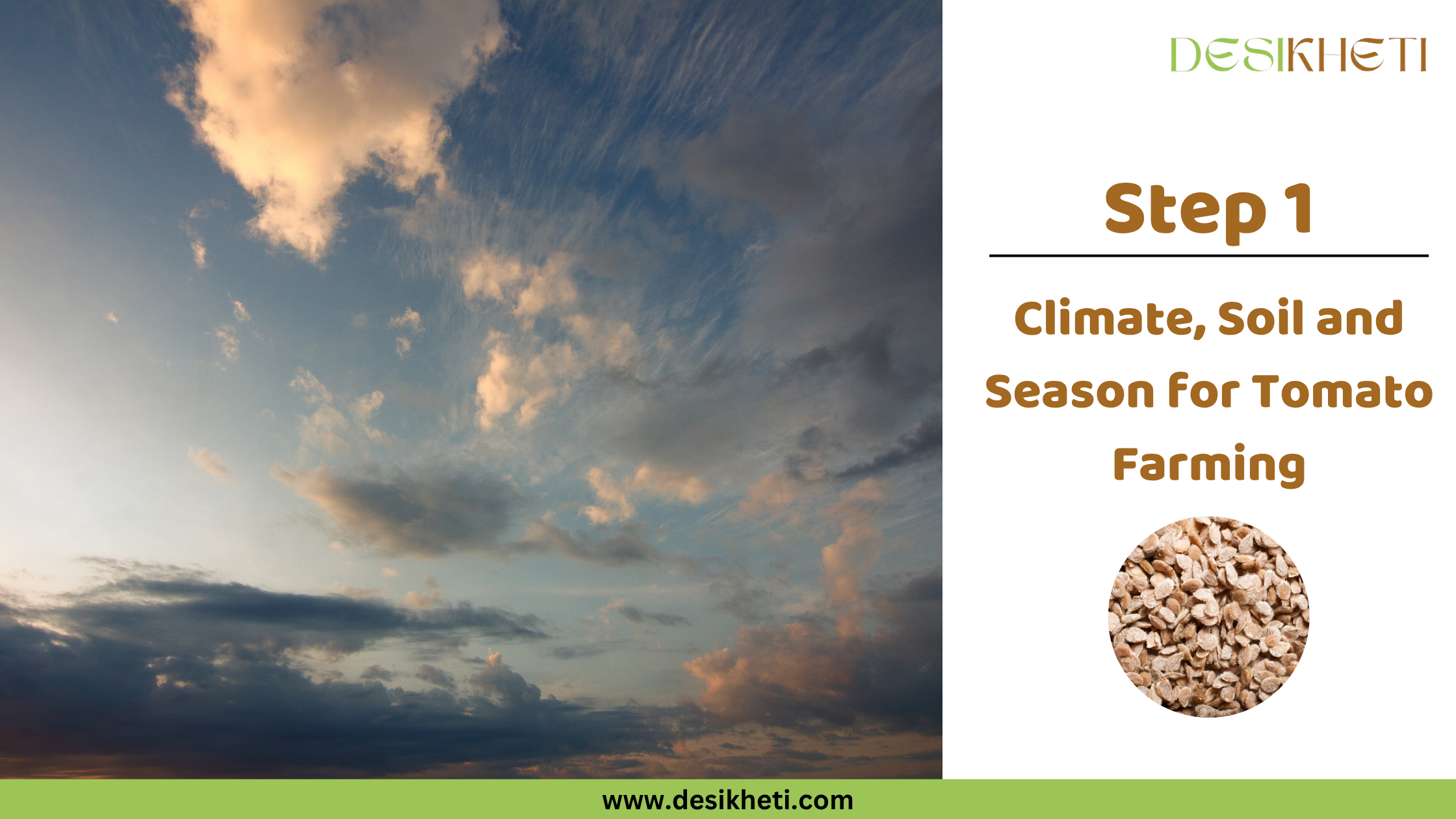
Step 1: Climate, Soil and Season for Tomato Farming. A dramatic sky with clouds in shades of blue, grey, and orange fills the background. The "DESIKHETI" logo is visible at the top right, along with a circular inset displaying tomato seeds, and the website address "www.desikheti.com" is at the bottom.