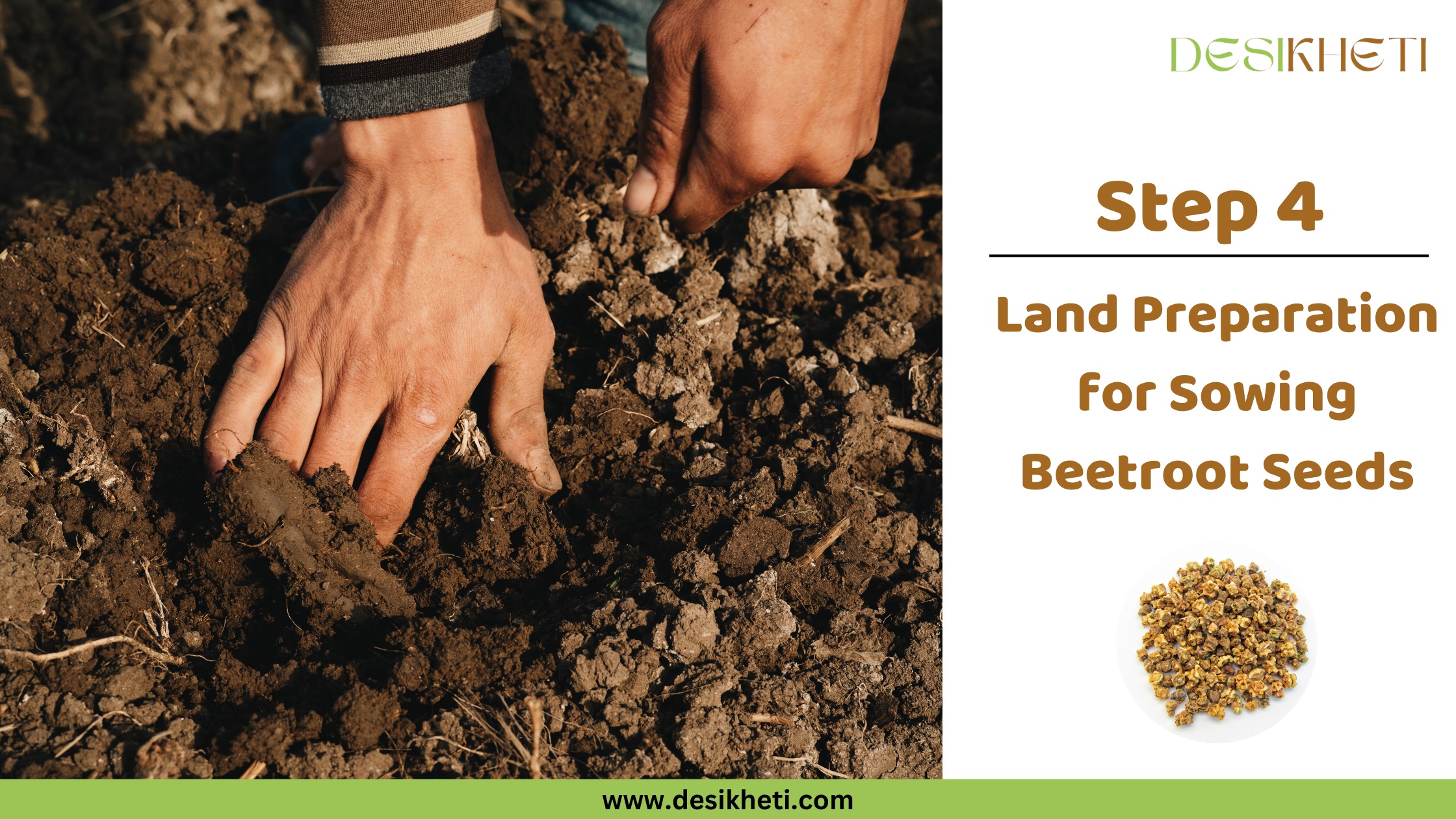 Step 4: Land Preparation for Sowing Beetroot Seeds. Step 4: Land Preparation for Sowing Beetroot Seeds. Hands are shown turning rich, dark brown soil, preparing it for planting. The "DESIKHETI" logo is visible at the top right, along with a circular inset displaying beetroot seeds, and the website address "www.desikheti.com" is at the bottom.