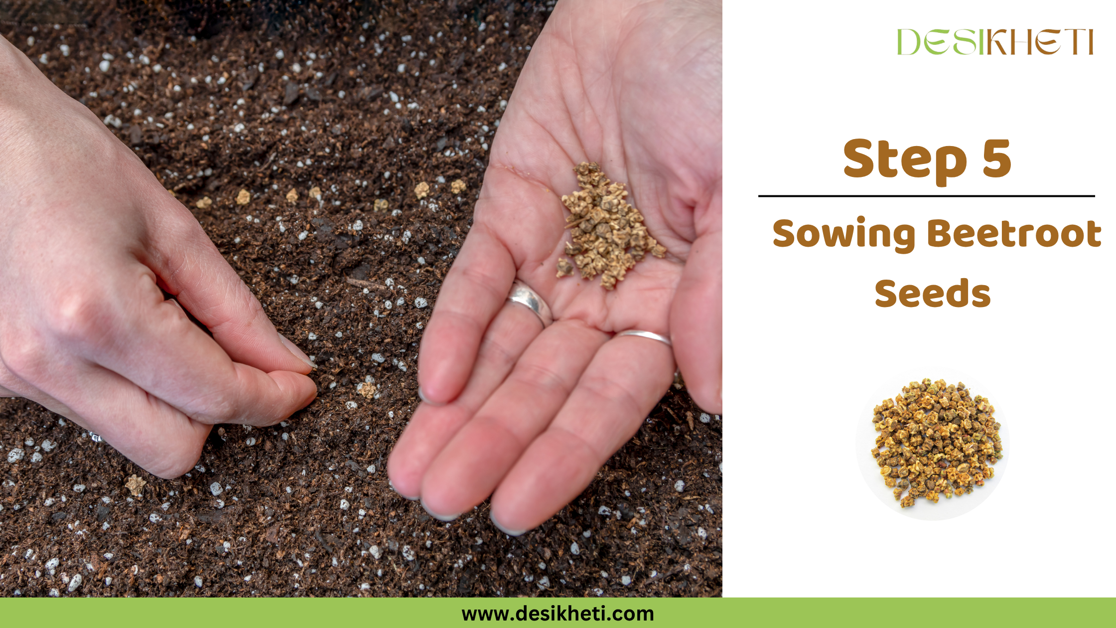 Step 5: Sowing Beetroot Seeds. Step 5: Sowing Beetroot Seeds. A person's hands are shown carefully dropping small, brown seeds into a furrow of dark, tilled soil. The "DESIKHETI" logo is visible at the top right, along with a circular inset displaying beetroot seeds, and the website address "www.desikheti.com" is at the bottom.