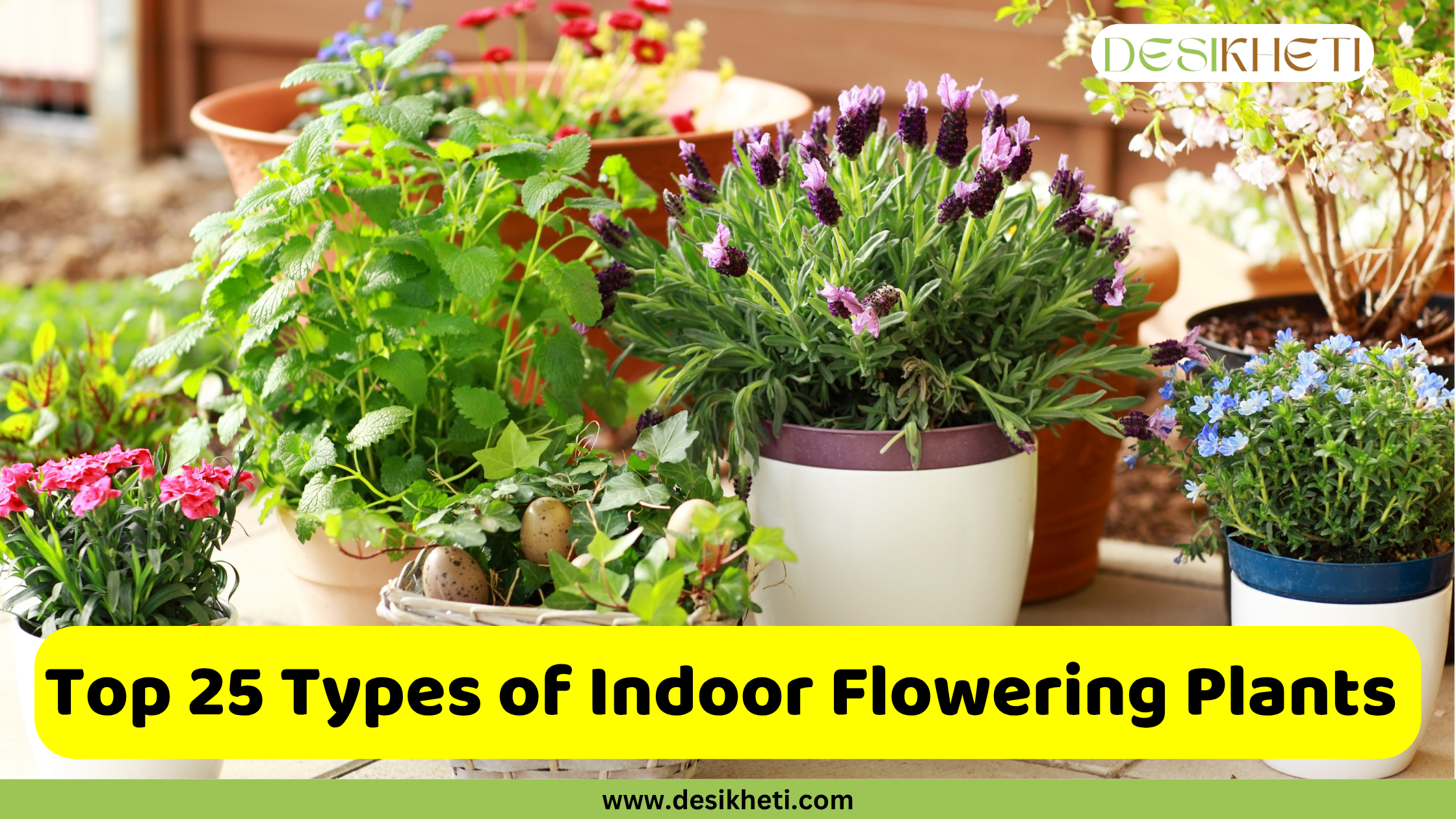 An array of potted indoor flowering plants are displayed, with a prominent white pot holding purple lavender in the center. Other visible plants include pink flowers in the foreground left, green leafy plants, and small blue flowers in a blue and white pot on the right. The text "Top 25 Types of Indoor Flowering Plants" is displayed prominently in a yellow banner across the bottom. The top right corner features a logo with the text "DESIKHETI". The website "www.desikheti.com" is visible at the very bottom.