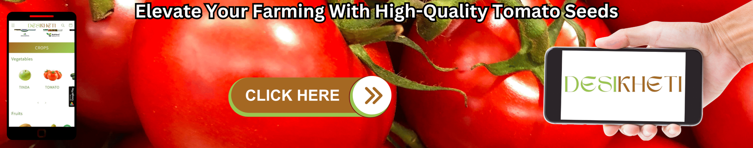 
Elevate your farming with high-quality tomato seeds. A background of ripe red tomatoes is shown, with a mobile phone on the left displaying the "DESIKHETI" app interface. A hand on the right holds another mobile phone displaying the "DESIKHETI" logo. A "CLICK HERE" button with a right-pointing arrow is centrally located on the image.
