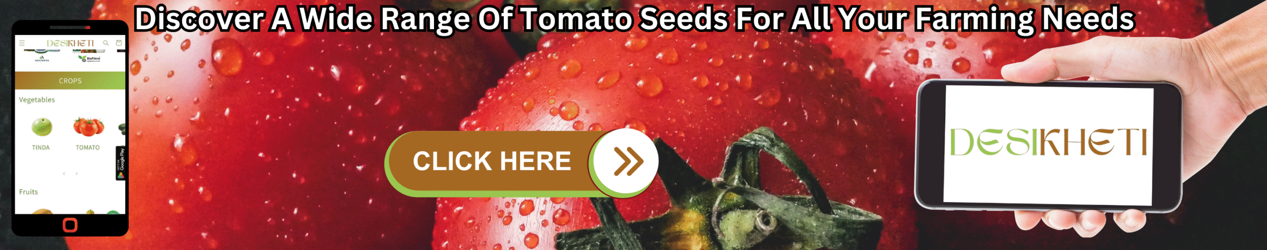Discover a wide range of tomato seeds for all your farming needs. Ripe red tomatoes covered in water droplets form the background. A mobile phone on the left displays the "DESIKHETI" app interface with various crop options, and a hand on the right holds another mobile phone showing the "DESIKHETI" logo. A prominent "CLICK HERE" button with a right-pointing arrow is centrally located on the image.