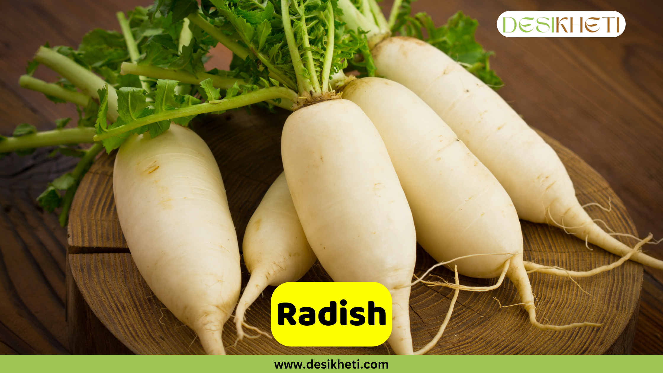
"Radish" poster featuring a bunch of white radishes with their green leafy tops, resting on a wooden board. The logo "DESIKHETI" is in the top right corner. The website address "www.desikheti.com" is at the bottom center.








