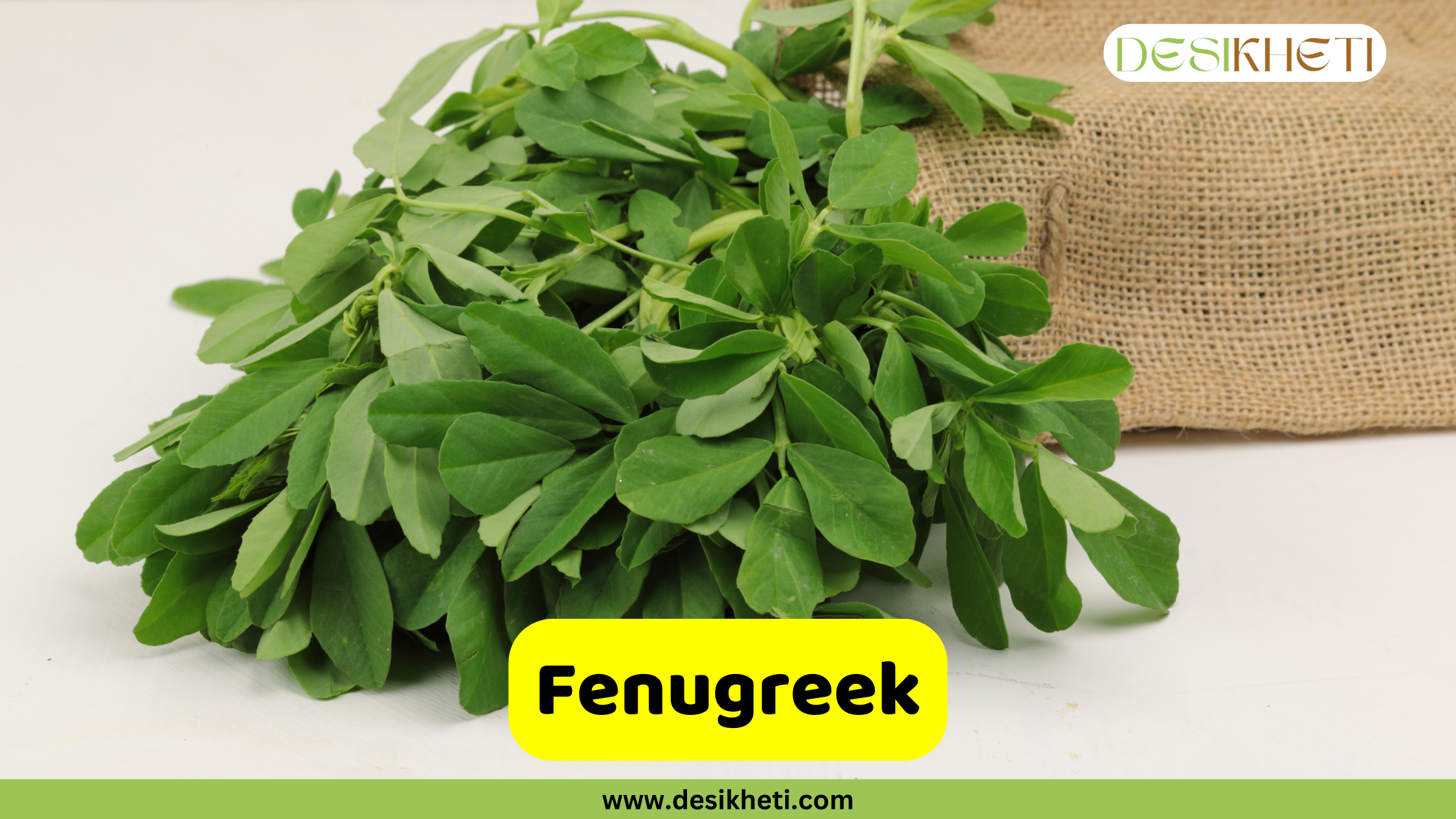 
"Fenugreek" poster showing a fresh bunch of fenugreek leaves on a white surface with a burlap sack in the background. The logo "DESIKHETI" is in the top right corner. The website address "www.desikheti.com" is at the bottom center.