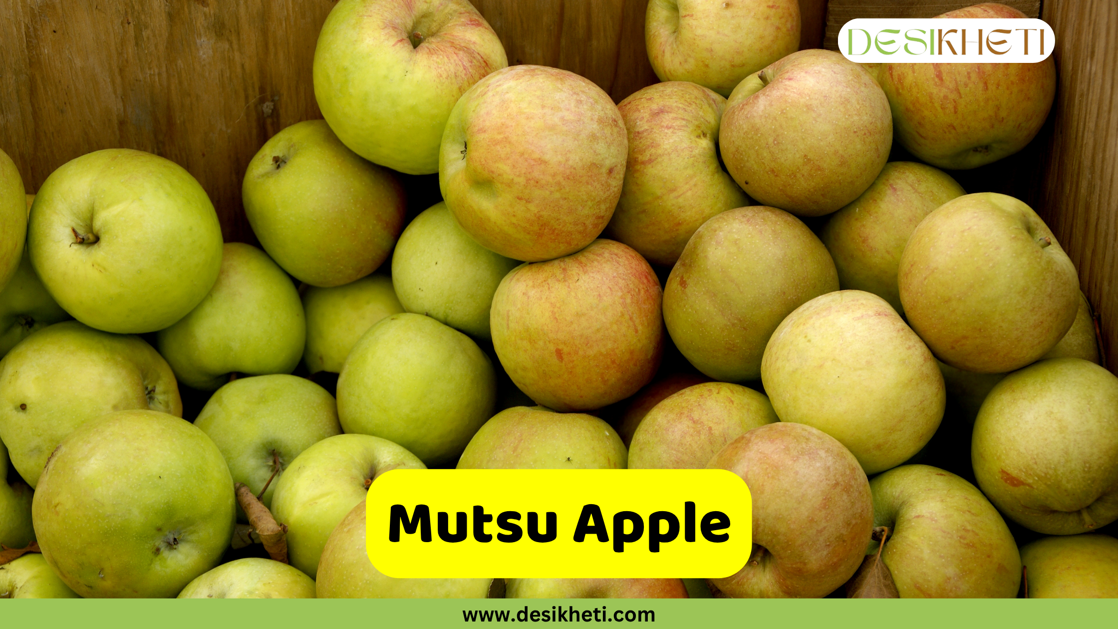 A large pile of pale green and yellow Mutsu apples in a wooden crate or bin. Some apples have a faint pink blush. A yellow banner at the bottom reads "Mutsu Apple," with the website "www.desikheti.com" below it. The "DESIKHETI" logo is in the top right corner.