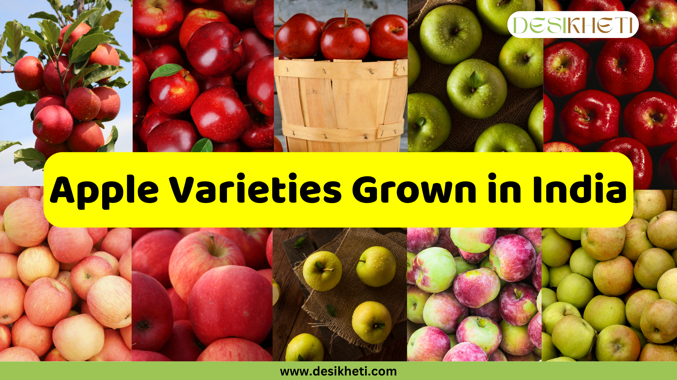 A collage showcasing different apple varieties grown in India, presented in a grid of nine smaller images. Varieties include red apples on a tree, bright red apples in a pile, red apples in a wooden bushel basket, a mix of green and red apples, a pile of pink apples, a pile of red apples, three yellow Golden Delicious apples on a burlap cloth, a mixed pile of green and red apples, and a pile of green apples. A large yellow banner in the middle of the collage reads "Apple Varieties Grown in India." The website "www.desikheti.com" is at the bottom, and the "DESIKHETI" logo is in the top right corner.