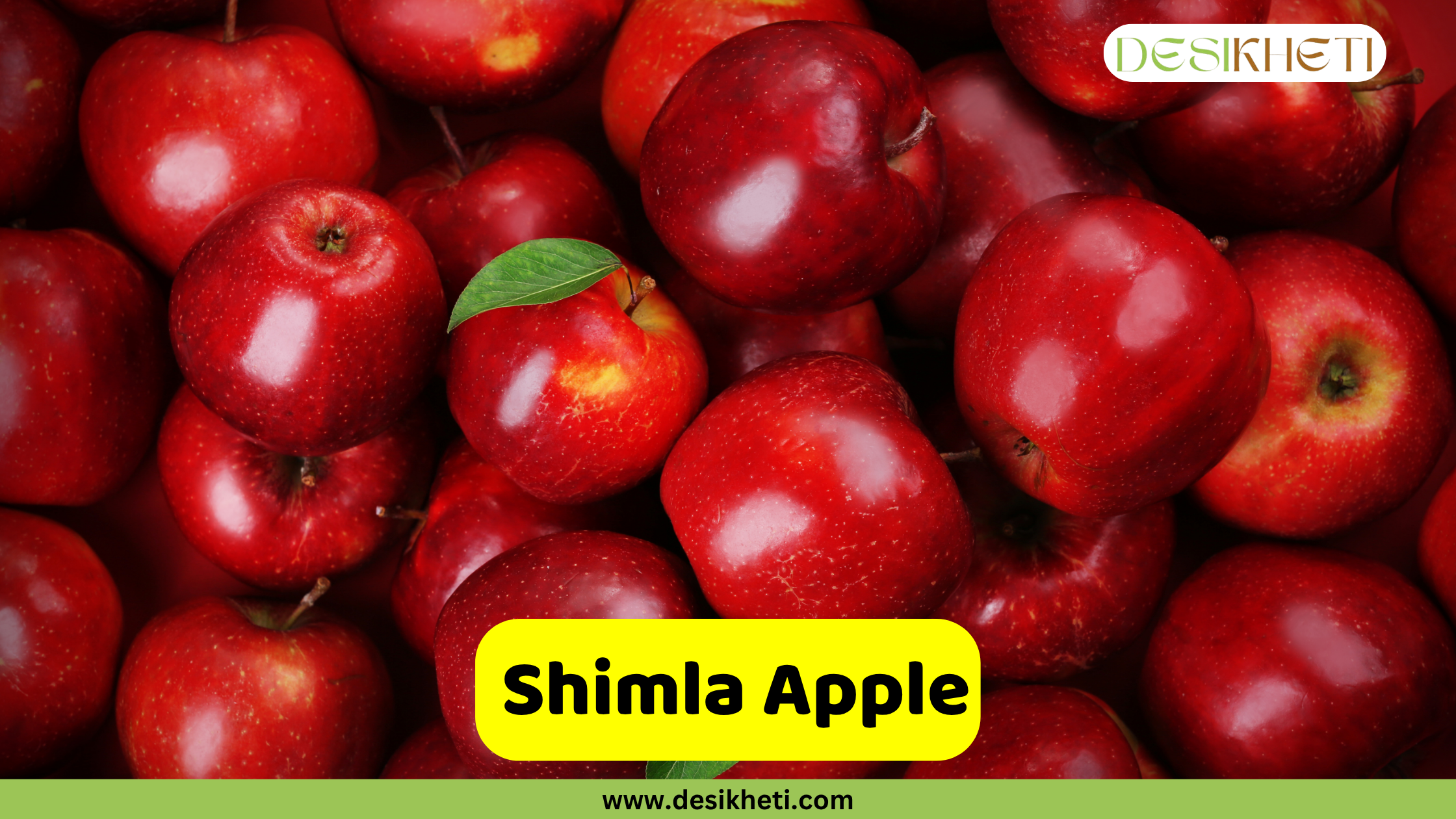
A large pile of vibrant red Shimla apples, with a few apples showing yellow or green patches and a single leaf. The apples have a glossy sheen. A yellow banner at the bottom reads "Shimla Apple" and the website "www.desikheti.com." The "DESIKHETI" logo is in the top right corner.