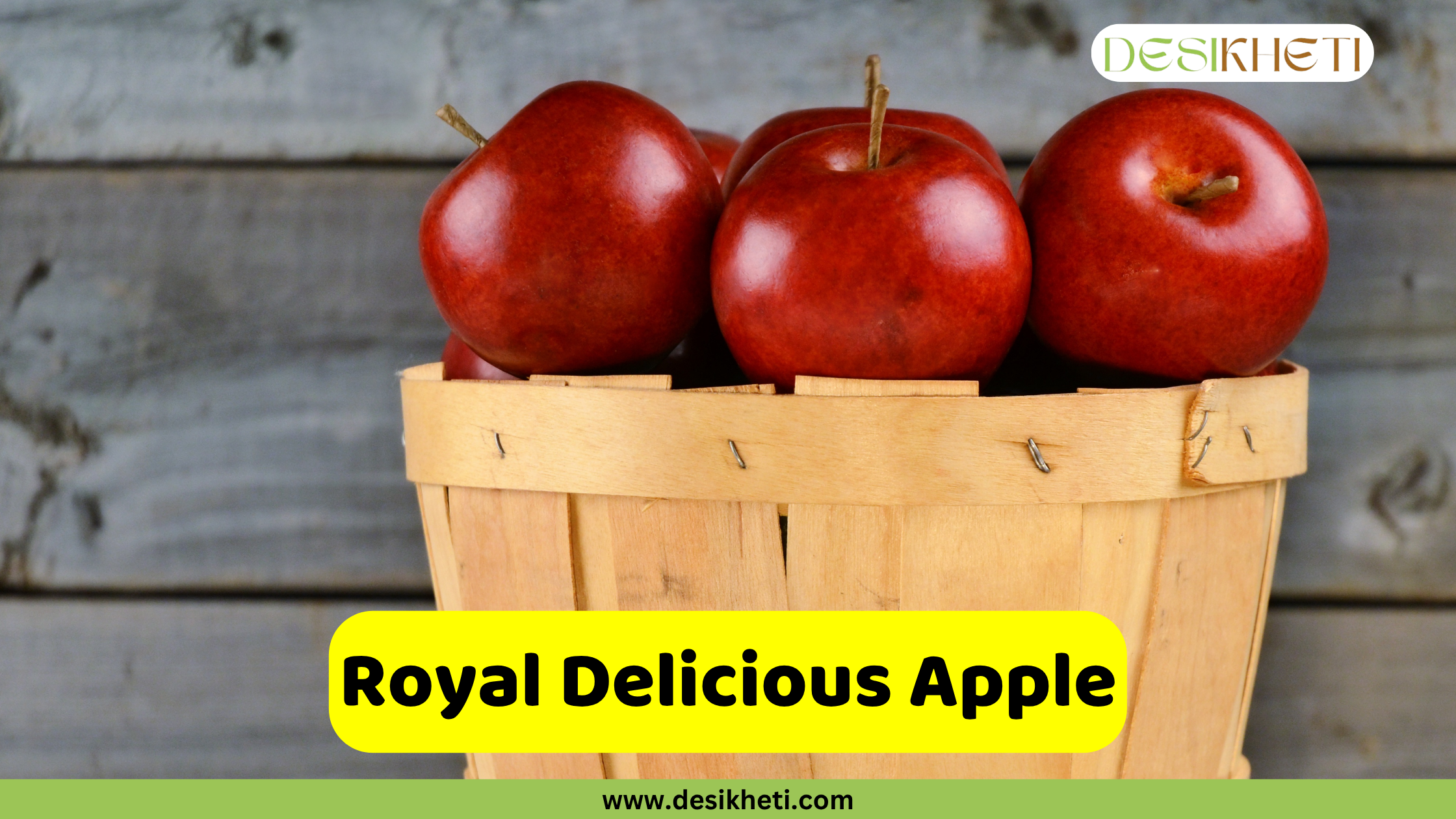 
A small, rustic wooden bushel basket filled with several shiny, deep red Royal Delicious apples, set against a weathered wooden background. A yellow banner across the bottom reads "Royal Delicious Apple," and the website "www.desikheti.com" is below it. The "DESIKHETI" logo is in the top right corner.