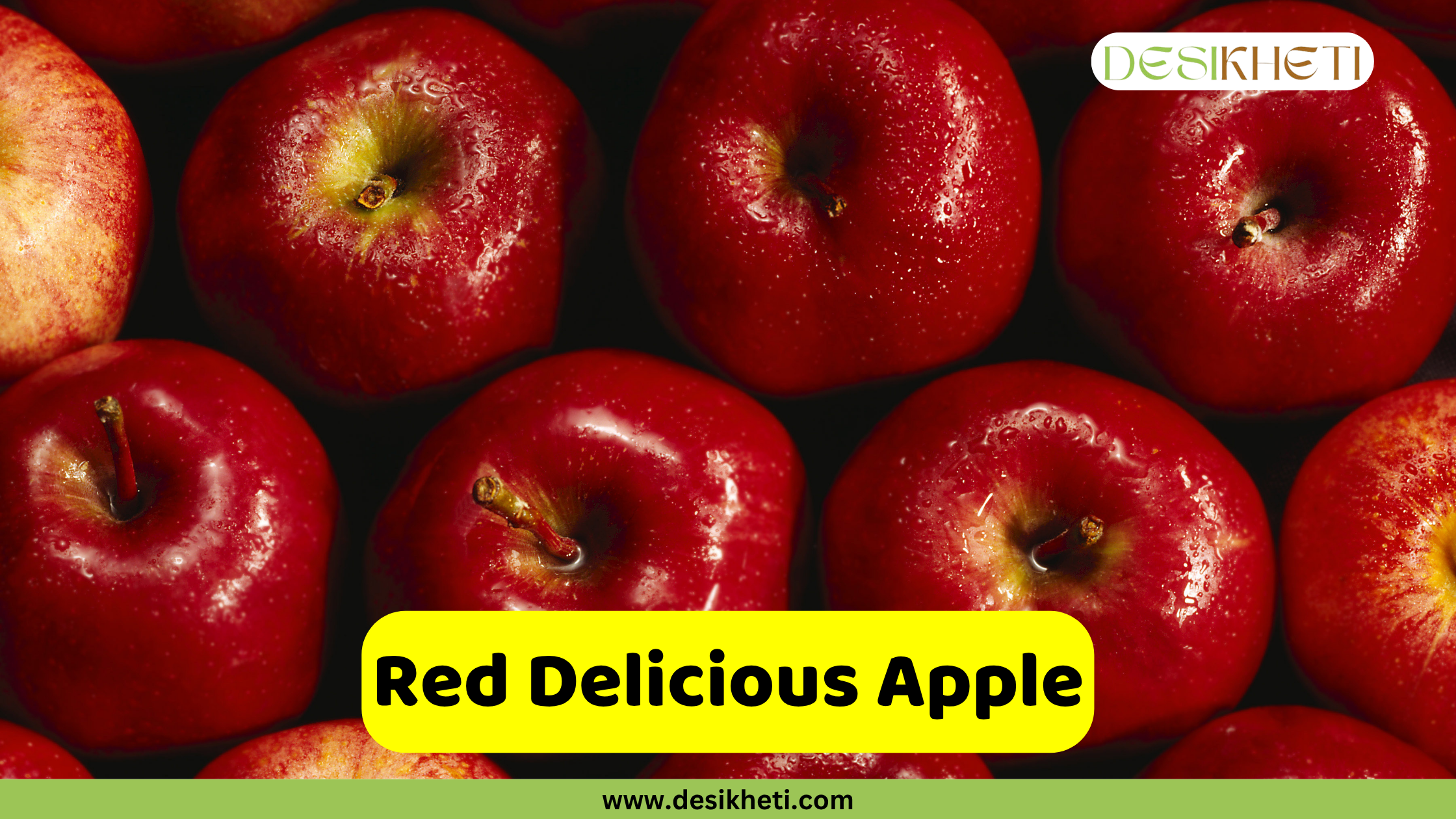 
A close-up, top-down view of a large number of deep red Red Delicious apples, some with water droplets on the skin. A yellow banner across the bottom reads "Red Delicious Apple," with the website "www.desikheti.com" below it. The "DESIKHETI" logo is in the top right corner.