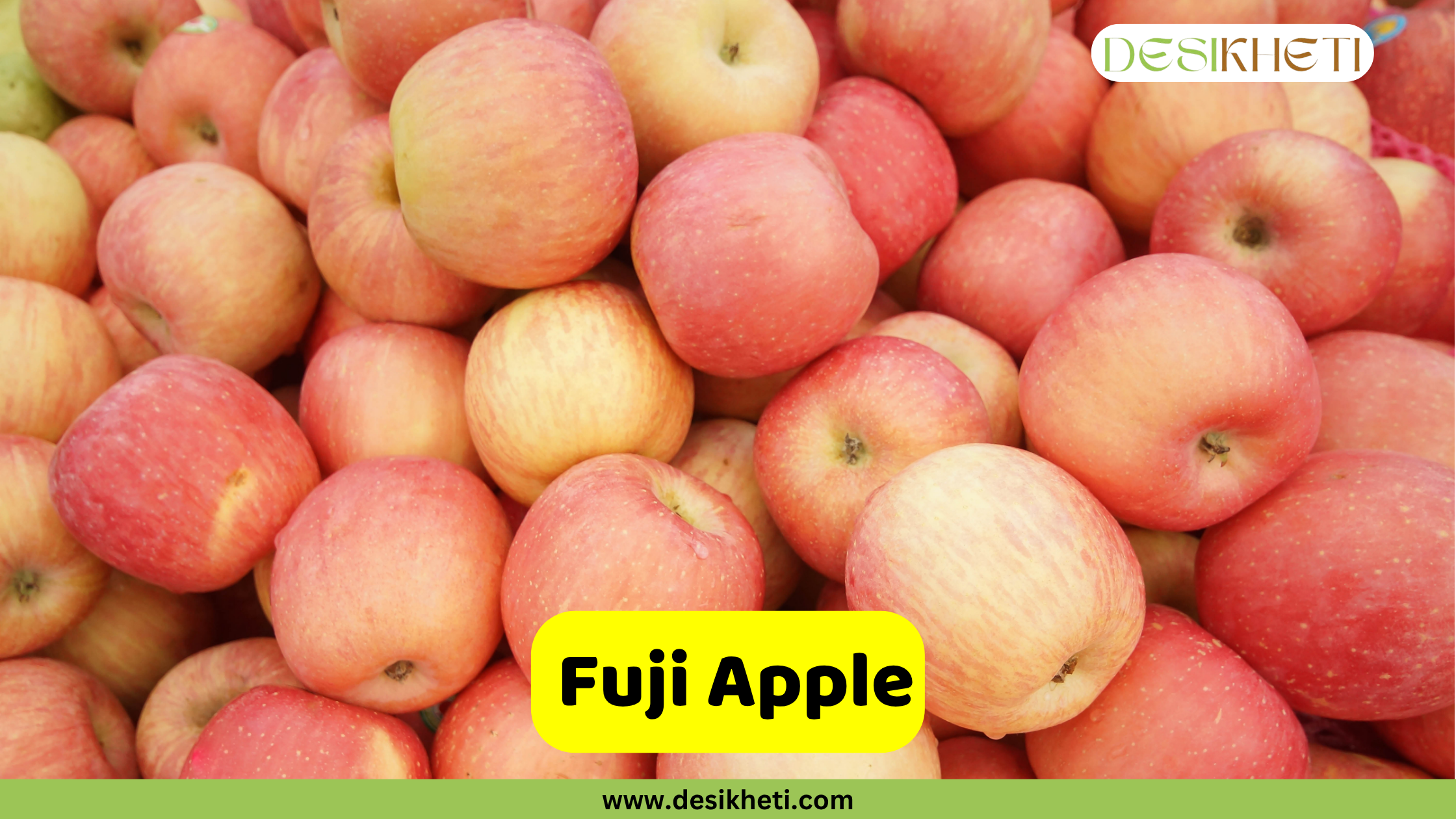 
A large, close-up pile of fresh Fuji apples with a pinkish-red blush over a yellowish-green base. The apples are piled high and fill the frame. A yellow banner at the bottom reads "Fuji Apple" with the website "www.desikheti.com" below it. The "DESIKHETI" logo is in the top right corner.