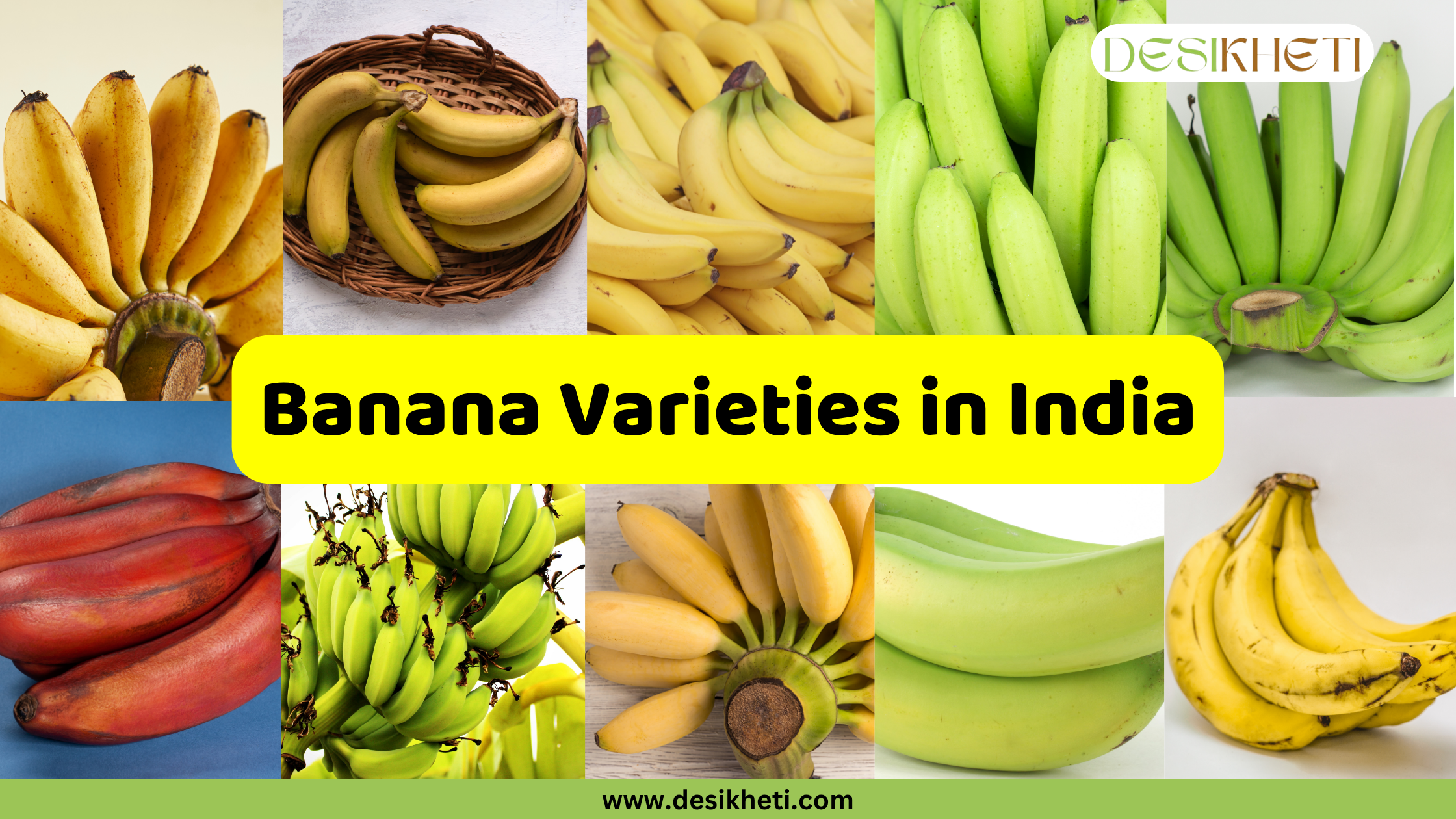 Collage of ten popular banana varieties in India, with the title "Top 10 Popular Banana Varieties in India" written across the center. The varieties shown include yellow, red, and green bananas, some in bunches and others individually, with the website "www.desikheti.com" at the bottom.