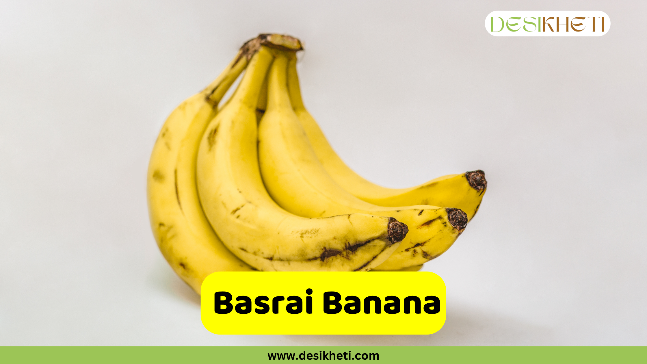 
A ripe bunch of yellow Basrai bananas, a common banana variety from India, on a neutral background. The name "Basrai Banana" is displayed in a yellow box, with the website "www.desikheti.com" at the bottom.