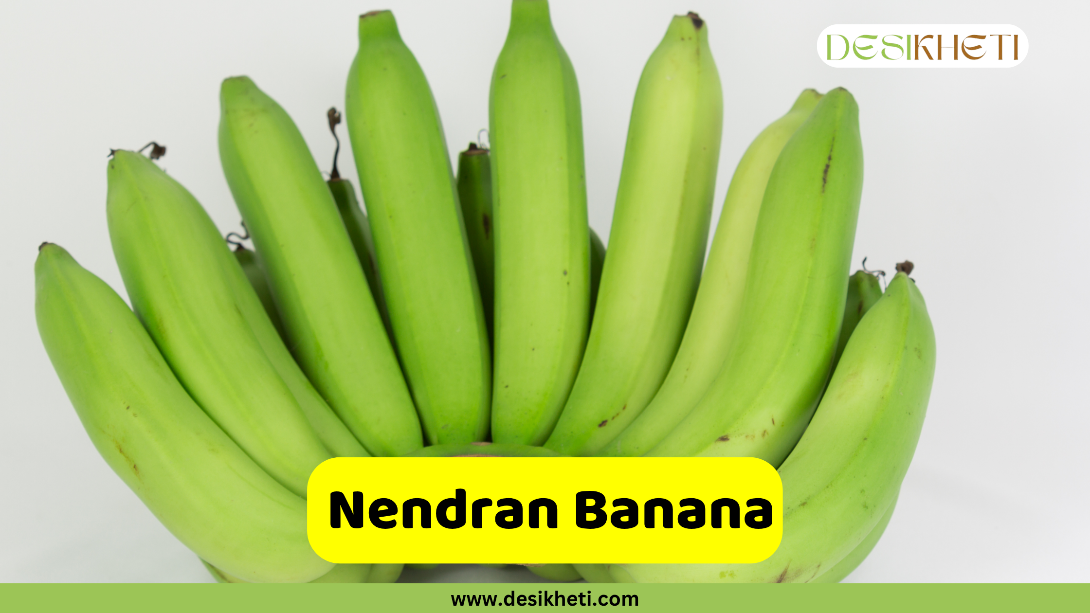 
A hand of long, green Nendran Bananas, a popular cooking banana variety from India. The name "Nendran Banana" is displayed in a yellow box, with the website "www.desikheti.com" also visible at the bottom.