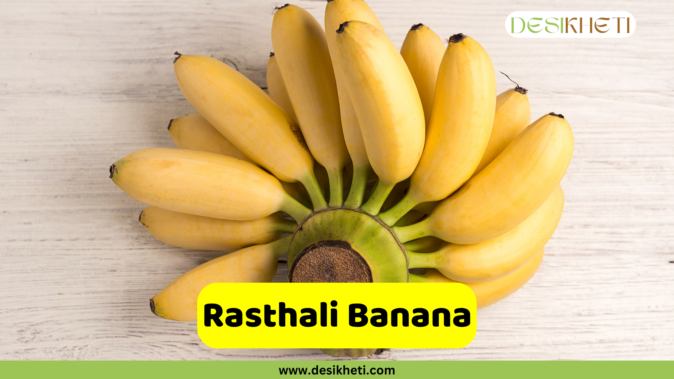 
A hand of ripe, light yellow Rasthali bananas on a light wooden background. The name "Rasthali Banana" is written in a yellow box at the bottom, and the website "www.desikheti.com" is also visible.