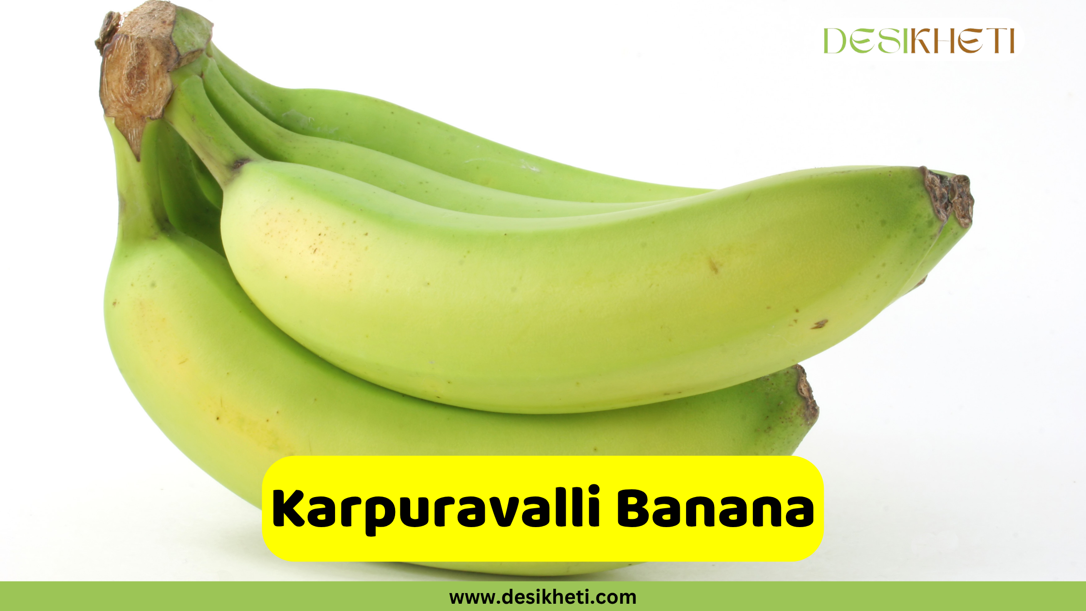 
A few large, pale green Karpuravalli bananas, a popular south Indian variety, on a white background. The text "Karpuravalli Banana" is written in a yellow box at the bottom, and the website "www.desikheti.com" is also visible.