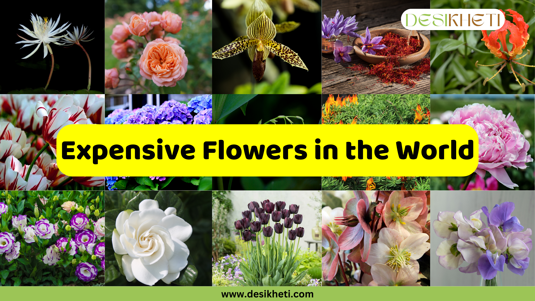 A grid of various expensive flowers with the text "Expensive Flowers in the World" written on a yellow banner across the middle. The flowers shown include a white Fiddlehead Fern flower, pink roses, a Lady's Slipper orchid, saffron flowers, a Flame Lily, variegated tulips, purple hydrangeas, colorful celosia, a large pink peony, purple and white petunias, a white gardenia, black tulips, a multicolored Christmas rose, and a cluster of light purple sweet peas. The logo "DESIKHETI" is in the top right corner and the website "www.desikheti.com" is at the bottom center.