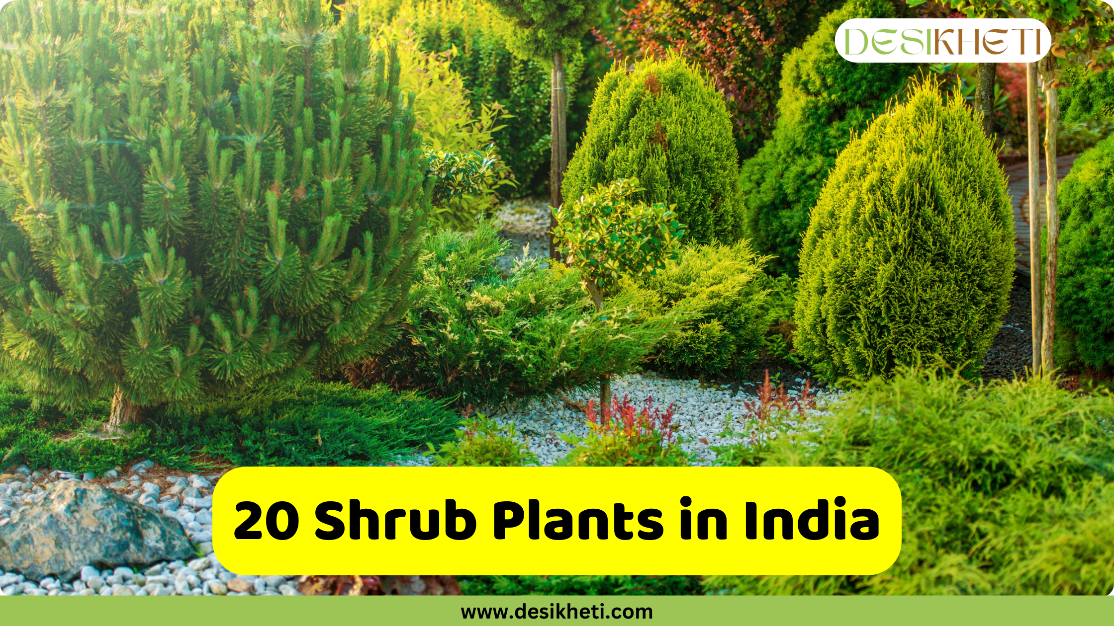 A lush garden featuring a variety of green shrub plants with different shapes and textures, arranged around a pebbled path. The text "20 Shrub Plants in India" is written in a yellow box at the bottom of the image. The "DESIKHETI" logo is in the top right corner, and the website "www.desikheti.com" is displayed at the very bottom.