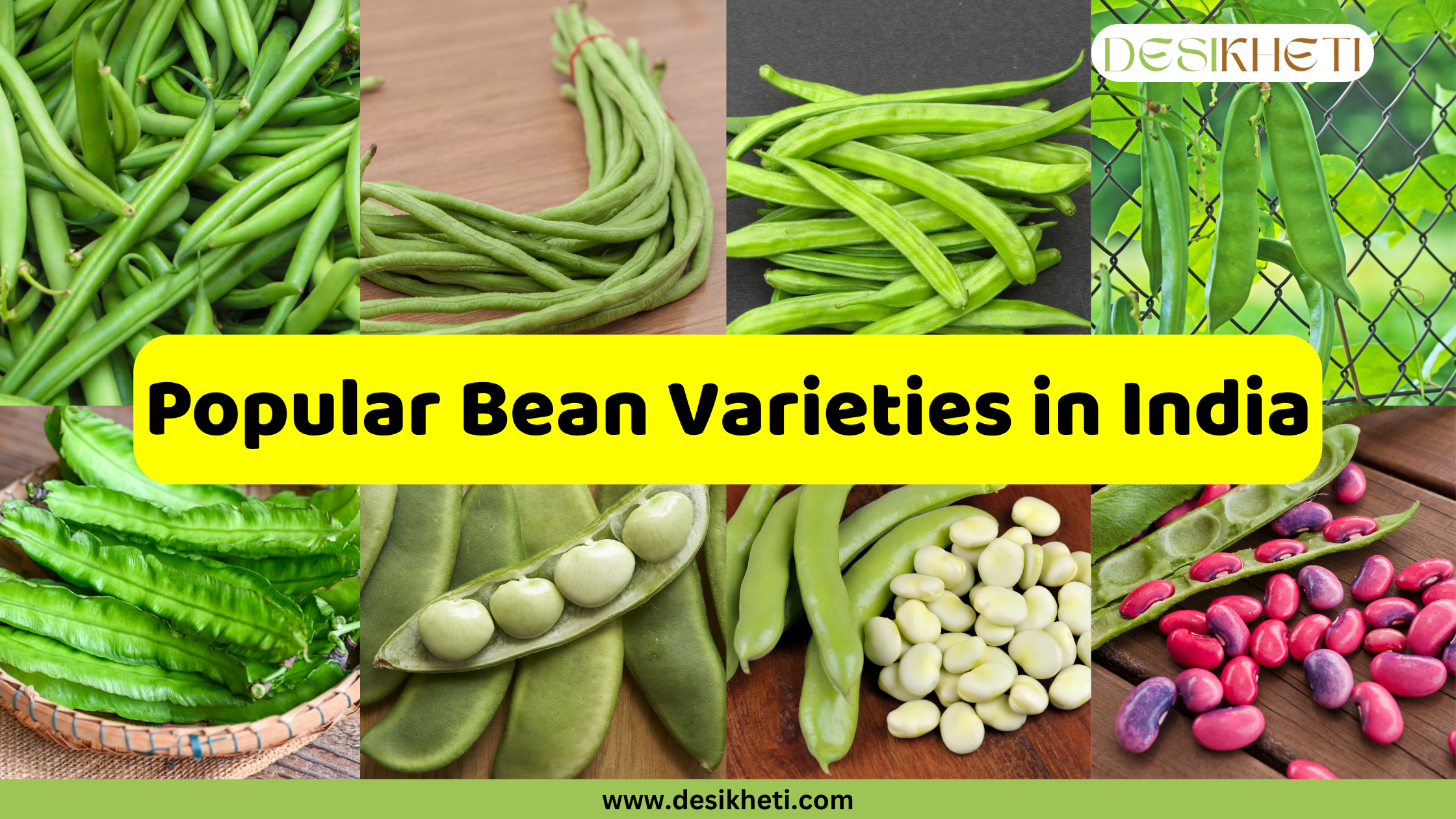 A collage of different popular bean varieties in India. The image is divided into a grid, showing various green beans, long beans, broad beans, and red kidney beans. The text "Popular Bean Varieties in India" is prominently displayed in a yellow banner across the center. The logo "DESIKHETI" is in the top right corner, and the website "www.desikheti.com" is at the bottom.