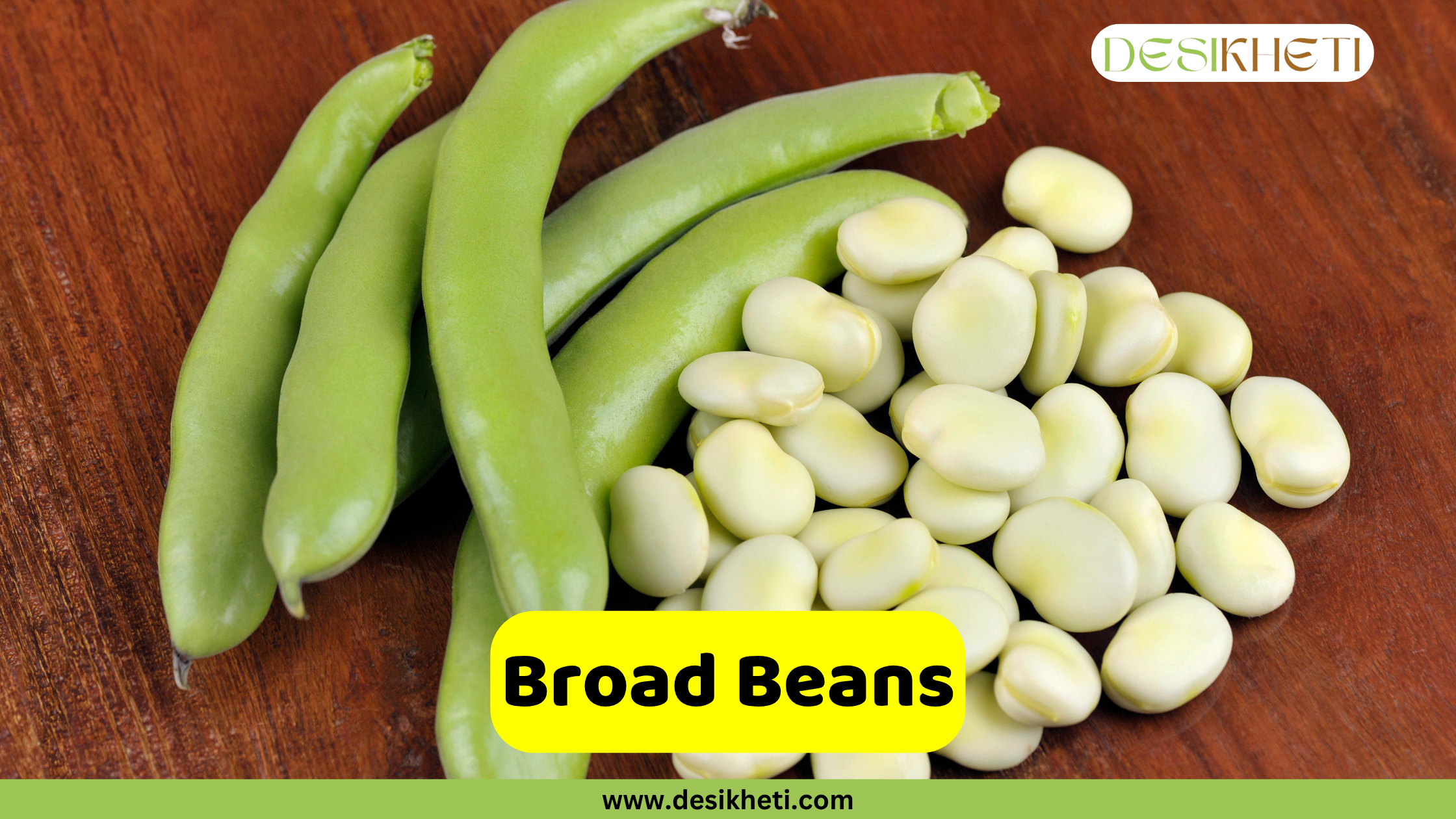 
A still life featuring whole, green broad bean pods next to a pile of shelled, pale broad beans on a wooden surface. The text "Broad Beans" is in a yellow banner. The logo "DESIKHETI" is in the top right corner, and the website "www.desikheti.com" is at the bottom.
