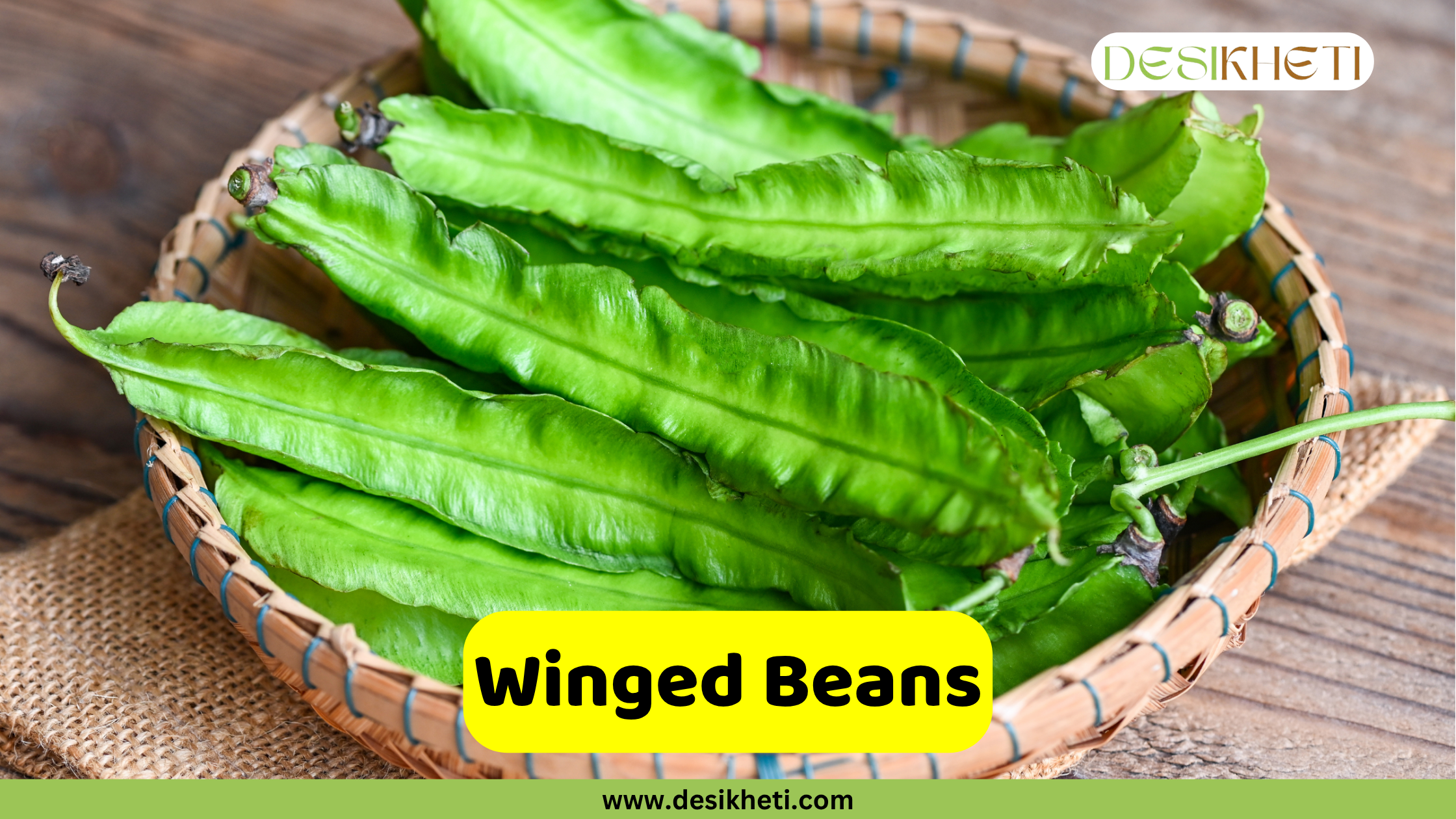 
A collection of fresh winged beans (Psophocarpus tetragonolobus) in a woven basket on a wooden surface. The beans are known for their distinct four-sided, wing-like appearance. The text "Winged Beans" is in a yellow banner. The logo "DESIKHETI" is in the top right corner, and the website "www.desikheti.com" is at the bottom.