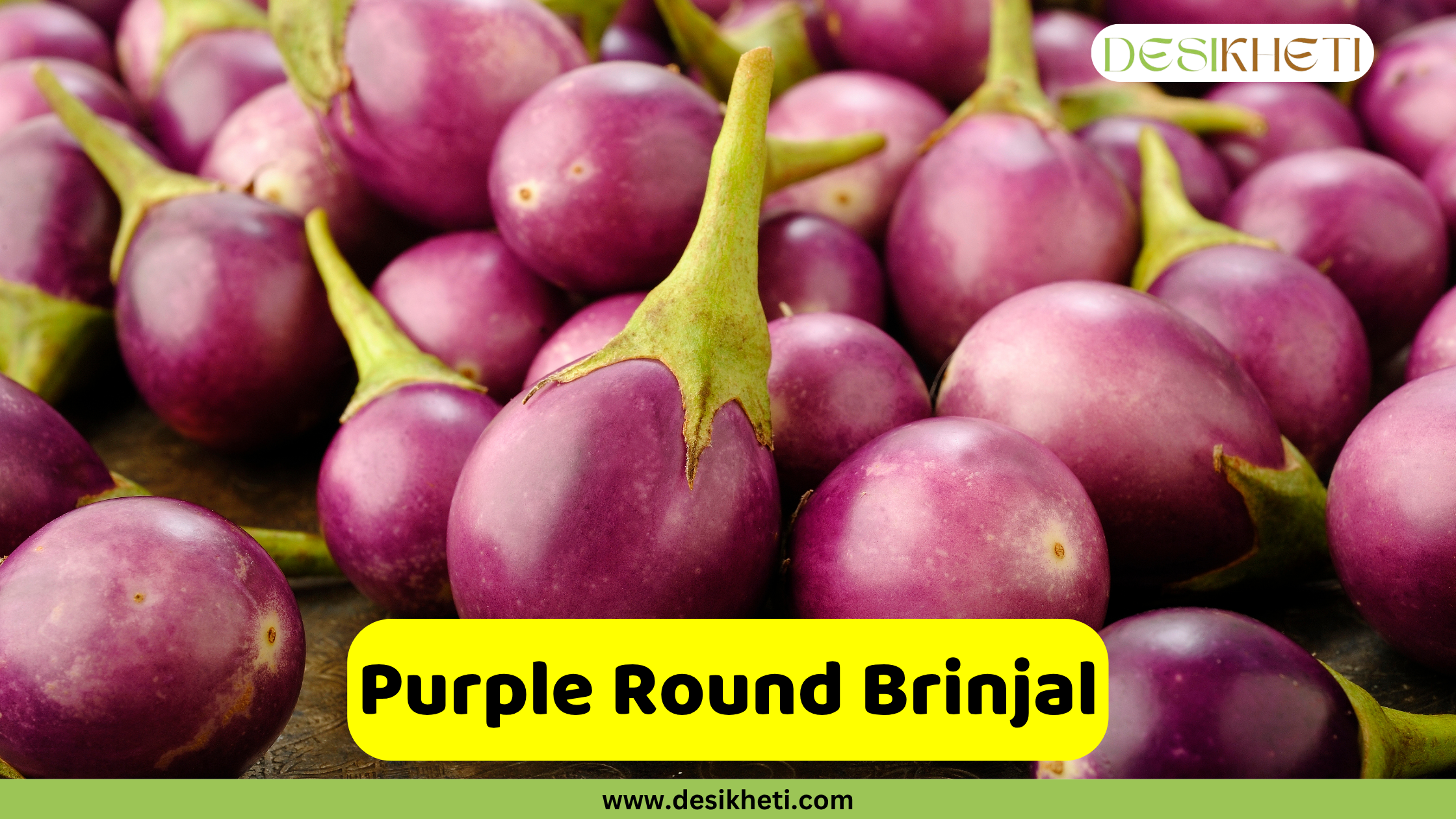 
A large pile of vibrant, round, purple brinjals (eggplants) with their green stems still attached. An overlaying yellow banner across the bottom reads "Purple Round Brinjal". The website "www.desikheti.com" is visible at the very bottom.