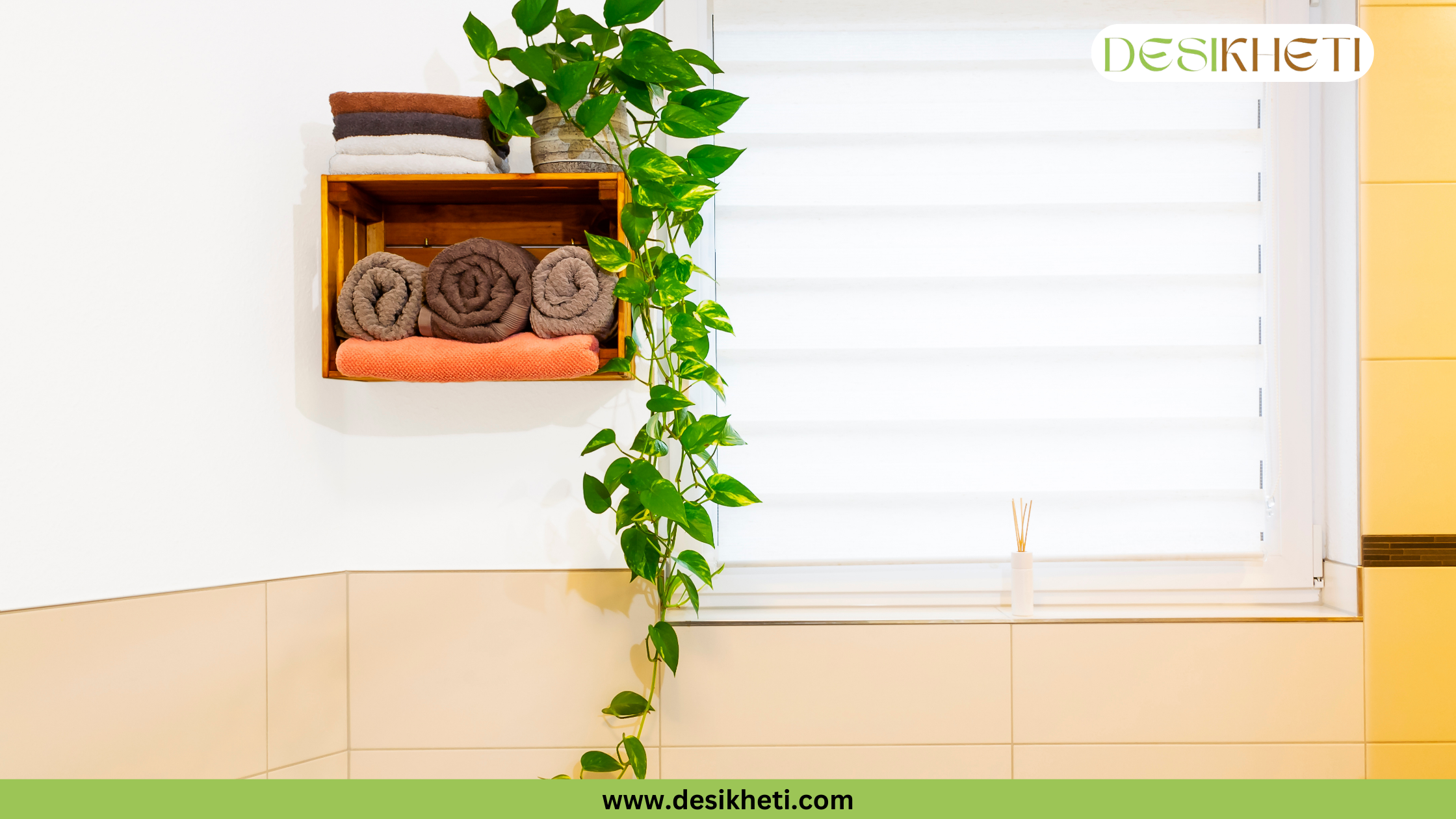 
A full, potted Snake Plant with tall, upright green and variegated leaves. The plant is in a white pot and is set against a white wall with light-colored wooden floors. The bottom of the image has a green banner with the text "www.desikheti.com" and the top right corner has a logo with the text "DESIKHETI".