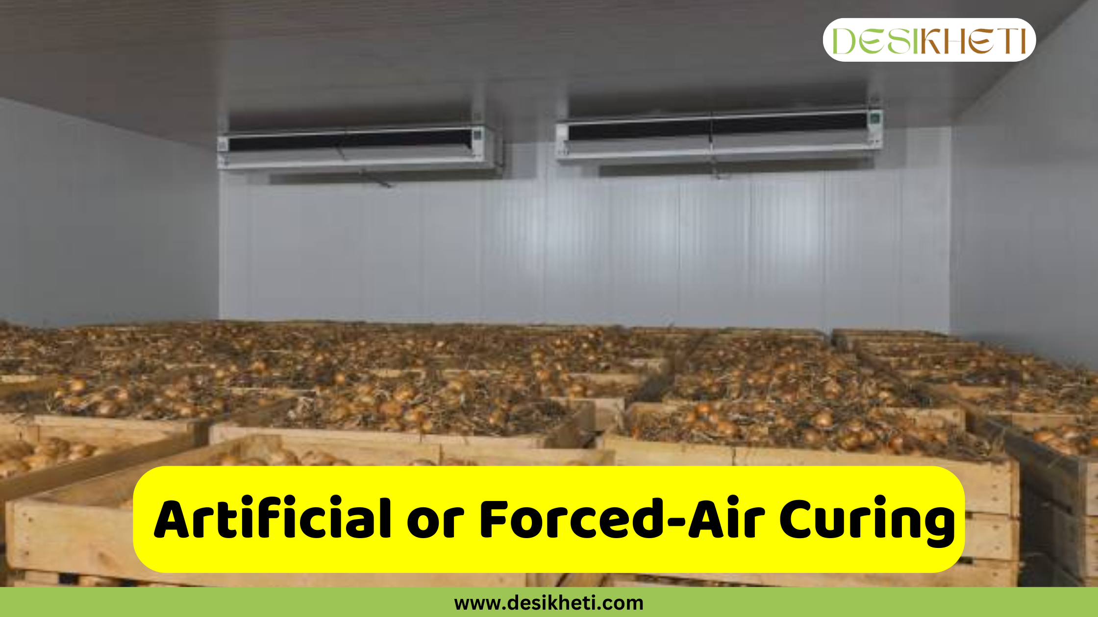 
A large indoor storage facility or warehouse is filled with numerous wooden crates, all brimming with harvested onions. Two large air conditioning or ventilation units are mounted on the white ceiling above the crates. A green and yellow banner at the bottom of the image has the text "Artificial or Forced-Air Curing" and the website address "www.desikheti.com".