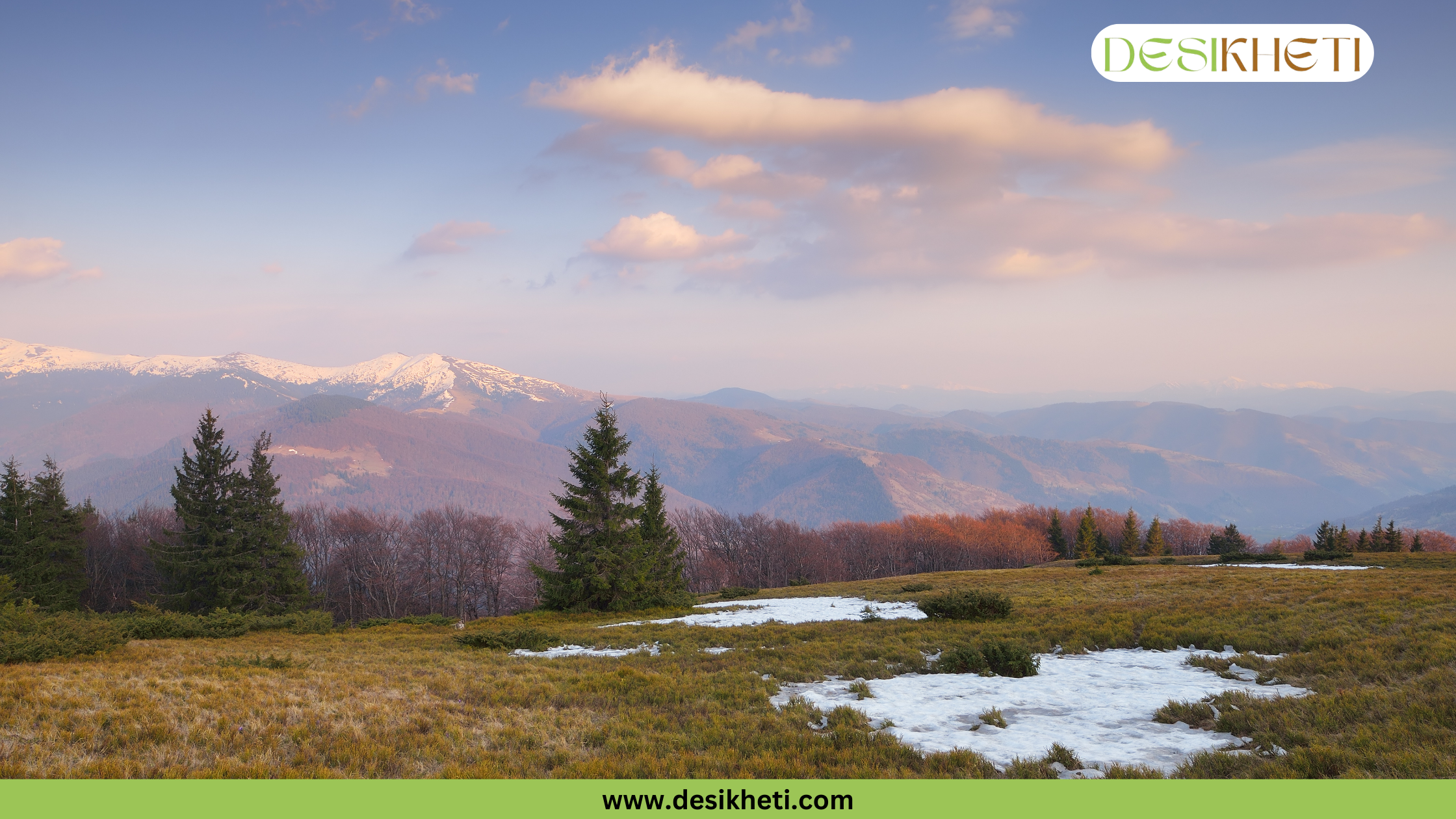 
A panoramic landscape showing rolling hills and mountains, with patches of snow and scattered evergreen trees in the foreground, under a sky with pink and purple clouds. The image has a green banner at the bottom with the website "www.desikheti.com" and a watermark in the top right corner that says "DESIKHETI". There's a bright yellow box in the lower middle of the image with the text "Best Season for Rose Harvesting" written in it.