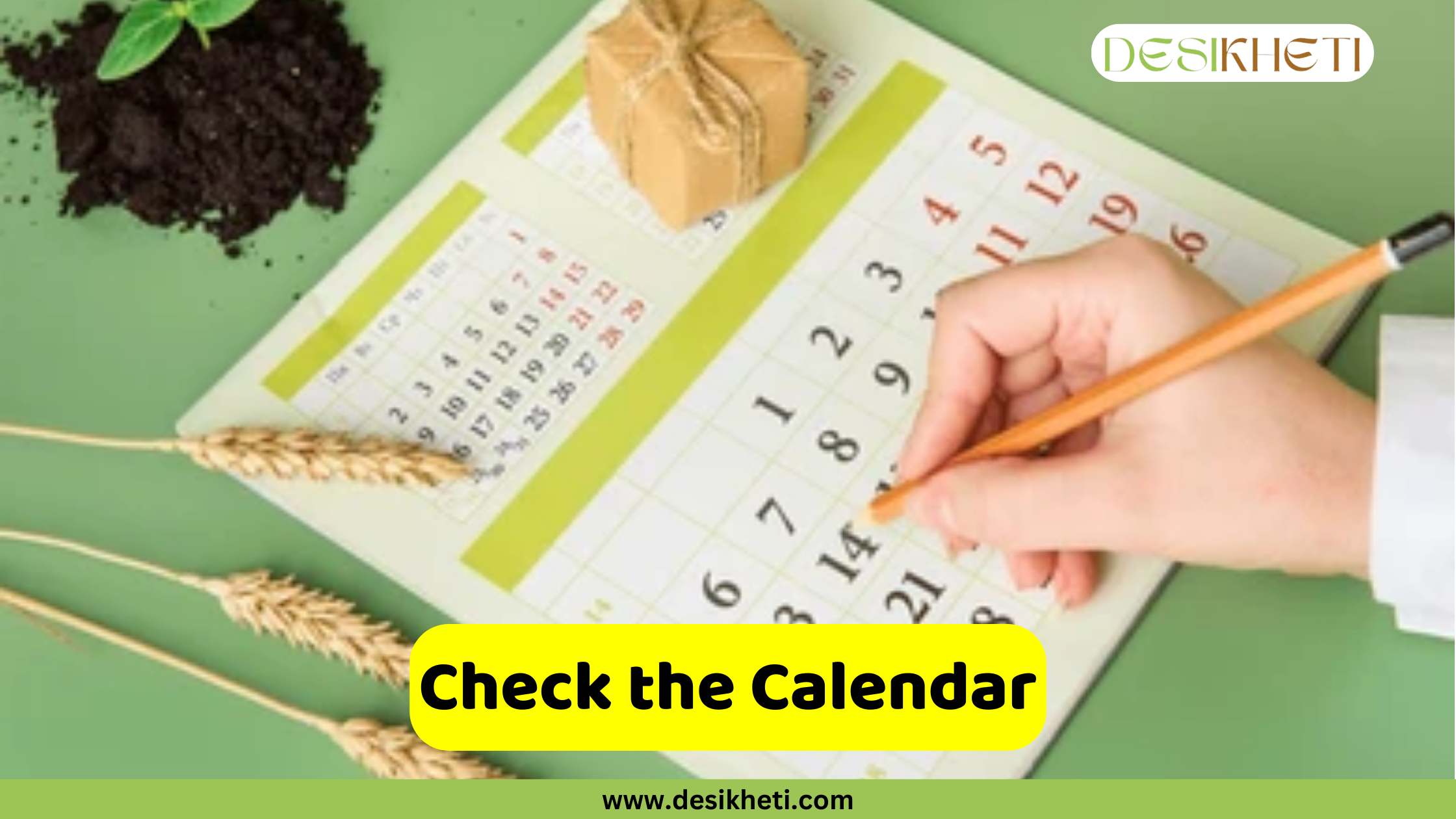 
A person's hand holds a pencil, pointing to a date on a calendar page that is lying on a green surface. Next to the calendar, a small plant grows in a pile of soil, and a tied-up package and a few stalks of wheat are also visible. A bright yellow banner with rounded edges contains the text, "Check the Calendar." Below the banner, a smaller green bar displays the website address "www.desikheti.com."