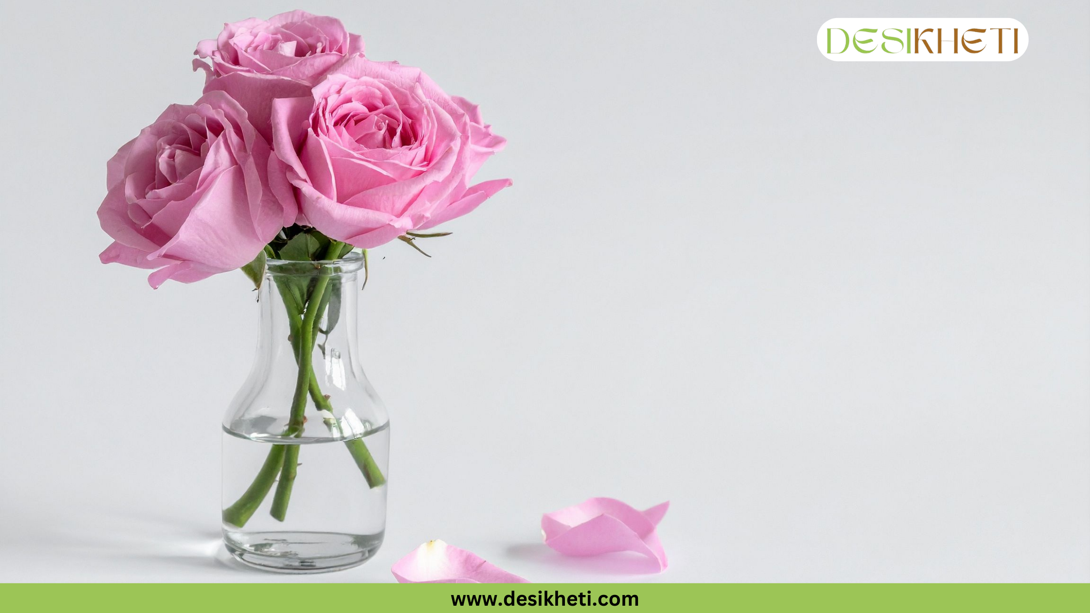 
A small, clear glass vase with three pink roses and a few fallen petals sits on a white surface. The image has a green banner at the bottom with the text "www.desikheti.com" and "DESIKHETI" in the top right corner.