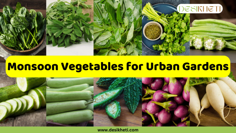 A two-row collage of various vegetables suitable for urban gardening, including spinach, fenugreek, amaranth, coriander, lady's finger, cucumber, bottle gourd, bitter gourd, brinjal, and radish. A large yellow banner in the middle has the text "Monsoon Vegetables for Urban Gardens". The image has a green banner at the bottom with the text "www.desikheti.com" and "DESIKHETI" in the top right corner.