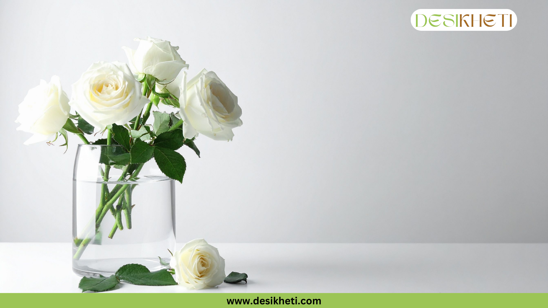 A transparent glass vase with a bunch of five white roses and a single fallen rose on a white surface, with a plain white background. The image has a green banner at the bottom with the text "www.desikheti.com" and "DESIKHETI" in the top right corner.