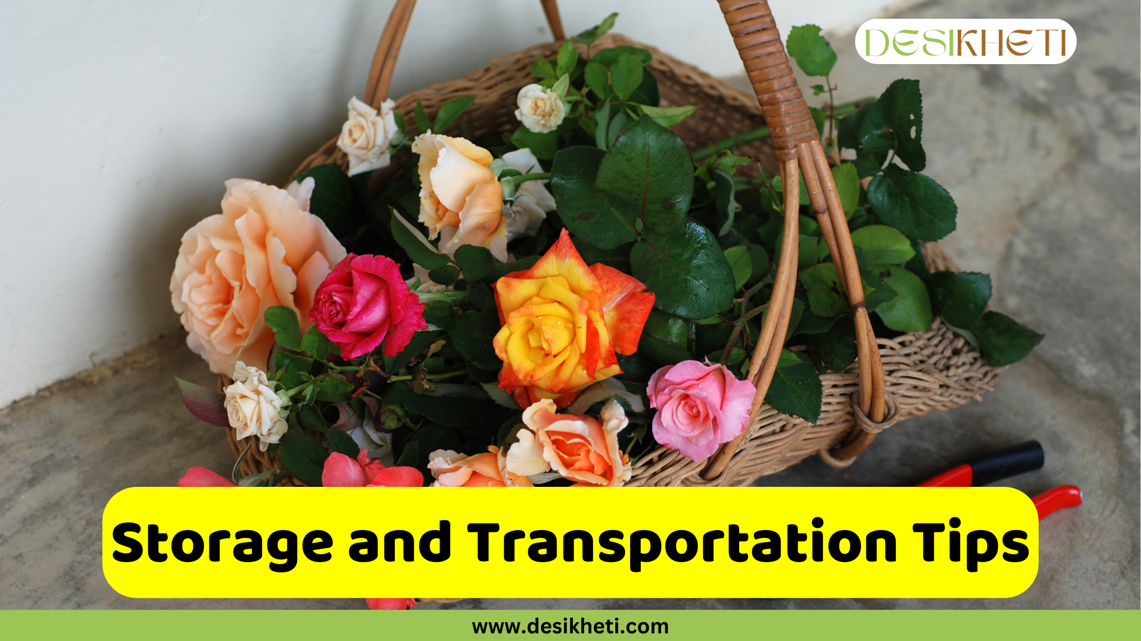 
A rustic, woven basket filled with freshly cut roses of various colors, including pink, yellow, and orange, rests on a light-colored floor. The image has a green banner at the bottom with the website "www.desikheti.com" and a watermark in the top right corner that says "DESIKHETI". There's a bright yellow box in the lower middle of the image with the text "Storage and Transportation Tips" written in it.