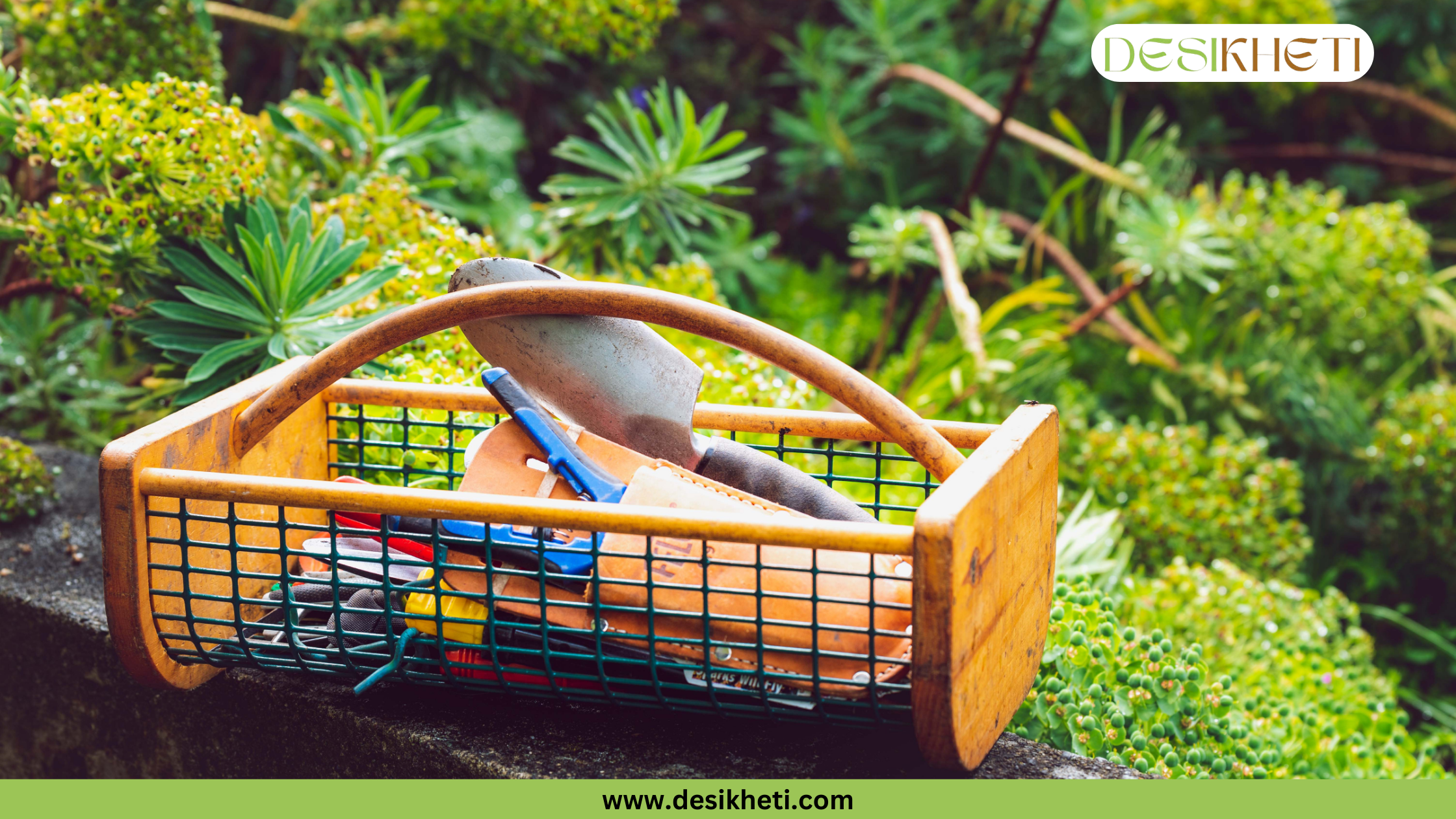 
I can only process one image at a time. Please upload the images one by one, and I will be happy to provide the alt text for each one.