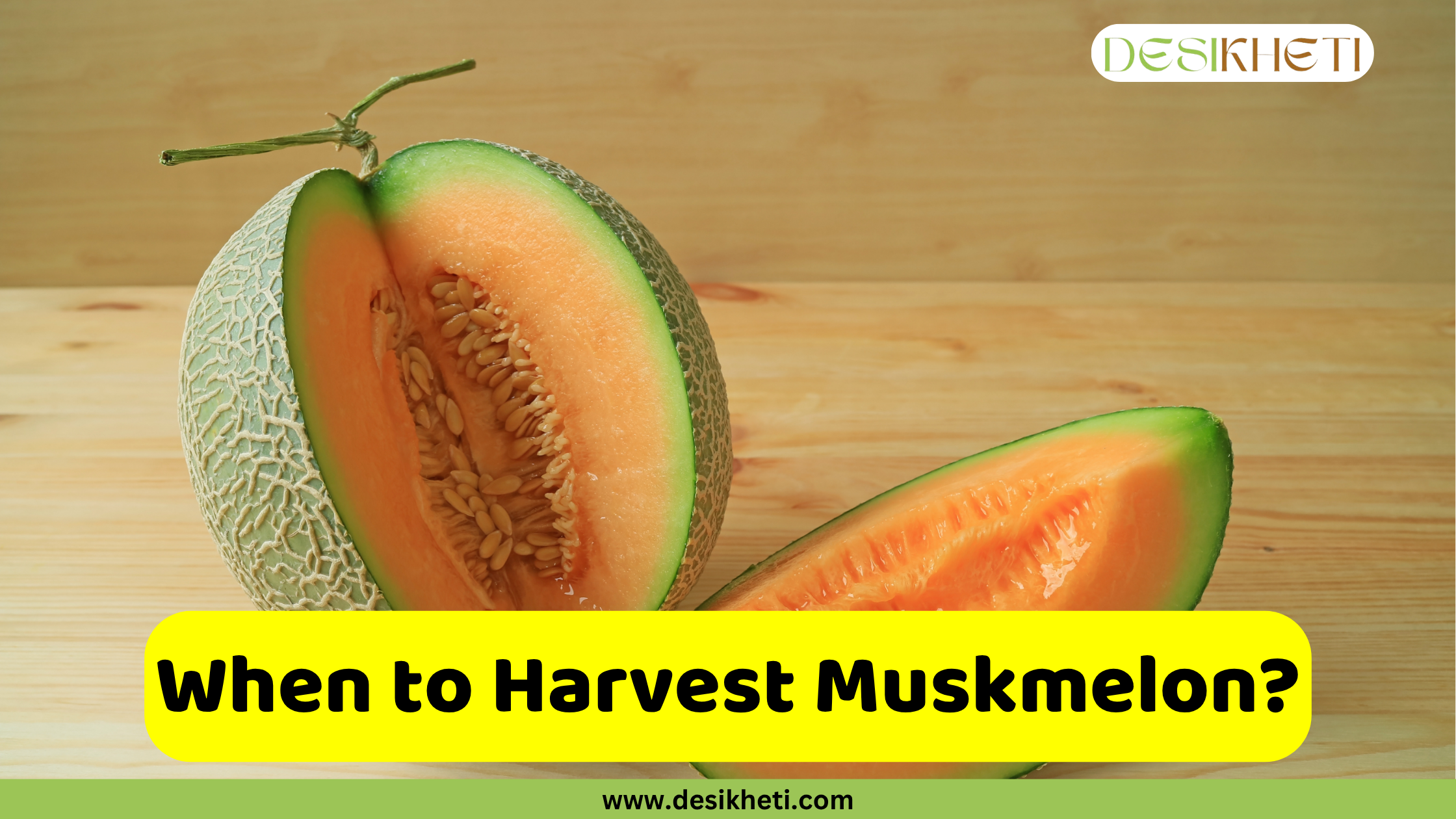 A freshly cut muskmelon on a light wooden surface. The muskmelon is cut in half, revealing the vibrant orange flesh and a cluster of seeds in the center. A smaller wedge of the fruit is also visible next to the main half. A yellow text box in the foreground reads "Muskmelon is Ready for Harvesting," and a green bar at the bottom displays the website address "www.desikheti.com".